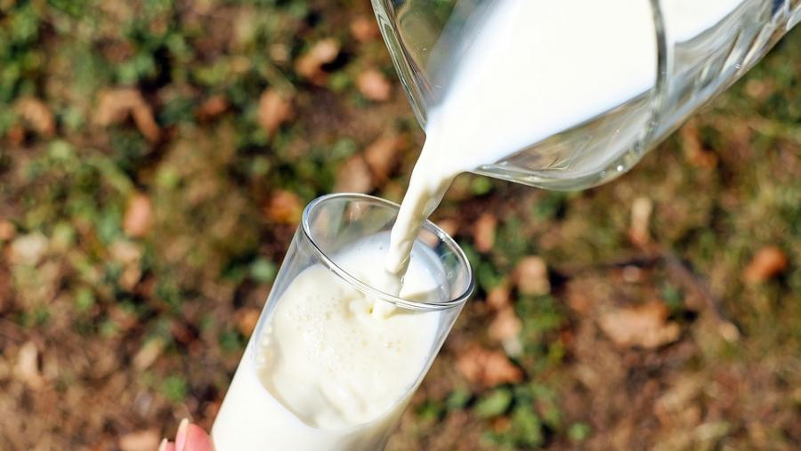 O mestrado en Produción de Leite mantén aberta a súa preinscrición ata o vindeiro 12 de xuño O mestrado en Produción de Leite mantén aberta a súa preinscrición ata o vindeiro 12 de xuño