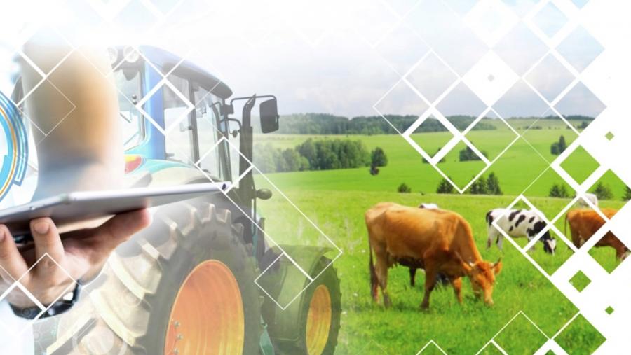 Campus Terra y Gradiant abren en el CiTIUS las sesiones de trabajo del Polo de Innovación Digital para el Sector Agroalimentario Campus Terra y Gradiant abren en el CiTIUS las sesiones de trabajo del Polo de Innovación Digital para el Sector Agroalimentario