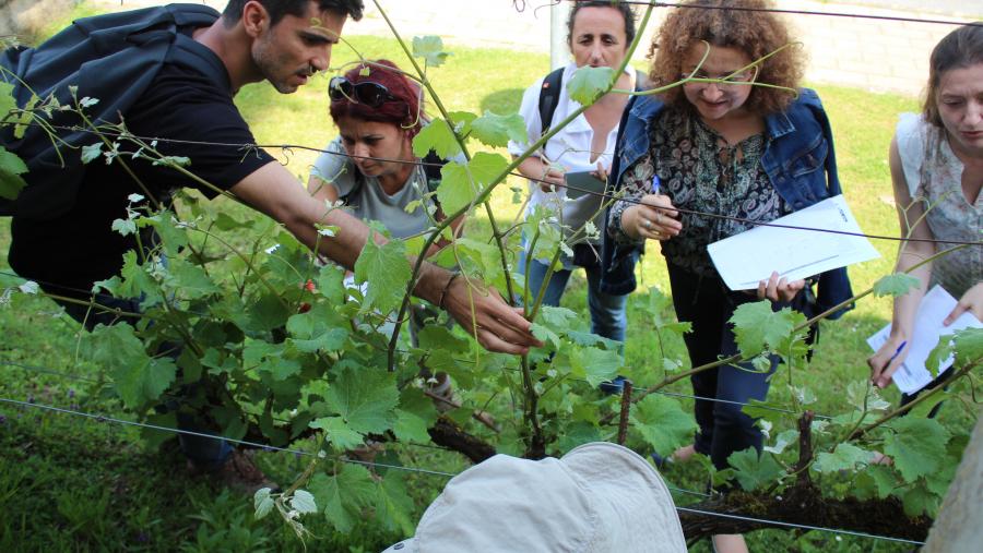 El Campus Terra de la USC mantiene abierta la preinscripción en los cursos en gestión de enfermedades de la vid impulsados por el proyecto ERASMUS + PAThOGEN El Campus Terra de la USC mantiene abierta la preinscripción en los cursos en gestión de enfermedades de la vid impulsados por el proyecto ERASMUS + PAThOGEN