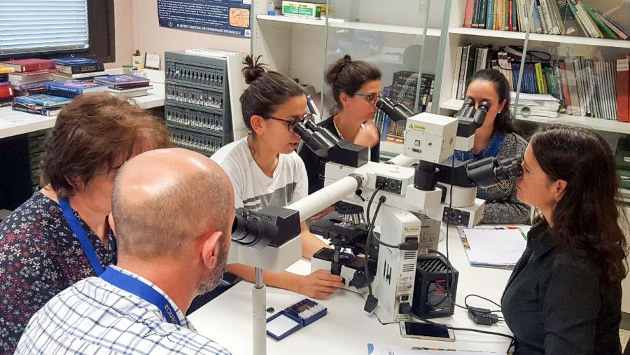 A primeira das sesións das ‘V Xornadas XuvenCiencia para Profesorado’ bota a andar este venres 19 de outubro baixo o lema ‘Fago, logo aprendo’ A primeira das sesións das ‘V Xornadas XuvenCiencia para Profesorado’ bota a andar este venres 19 de outubro baixo o lema ‘Fago, logo aprendo’