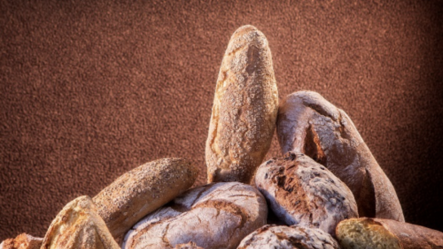 La Cátedra del Pan y del Cereal de la USC organiza el primer panel profesional de cata de pan esta semana en el Campus Terra La Cátedra del Pan y del Cereal de la USC organiza el primer panel profesional de cata de pan esta semana en el Campus Terra