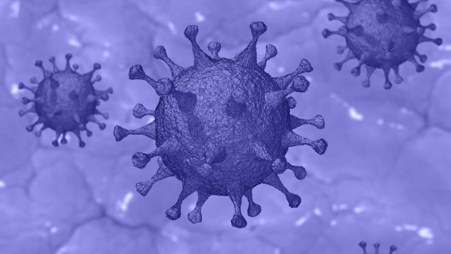 Imaxe representativa dun virus Imaxe representativa dun virus