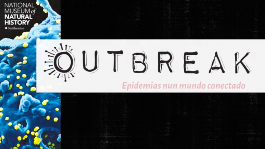 Cartel da mostra