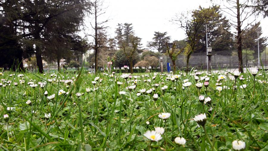 No referente ás temperaturas, o mes recentemente rematado reportou unha máxima de 23º5 o día 18. FOTO: Santi Alvite No referente ás temperaturas, o mes recentemente rematado reportou unha máxima de 23º5 o día 18. FOTO: Santi Alvite