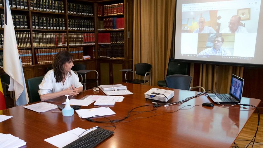 A xuntanza celebrouse este xoves a través de videoconferencia. Foto: Xunta de Galicia A xuntanza celebrouse este xoves a través de videoconferencia. Foto: Xunta de Galicia