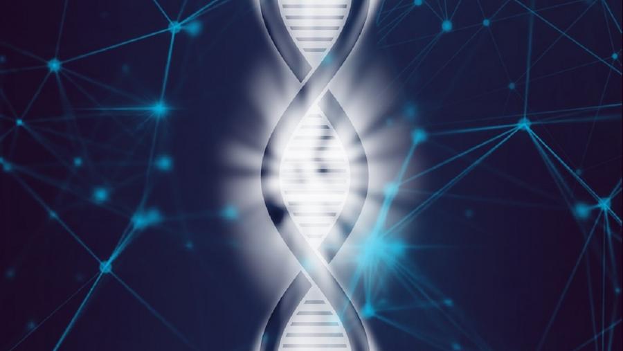 O seu obxectivo é atopar marcadores xenómicos para explicar a aparición de enfermidades con base total ou parcialmente xenética O seu obxectivo é atopar marcadores xenómicos para explicar a aparición de enfermidades con base total ou parcialmente xenética
