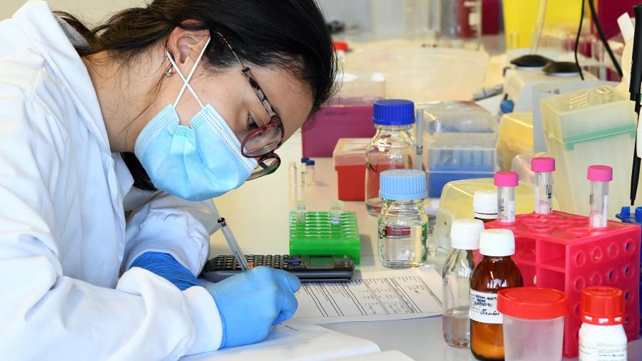 Imaxe de arquivo do laboratorio de María José Alonso na USC. FOTO: Santi Alvite Imaxe de arquivo do laboratorio de María José Alonso na USC. FOTO: Santi Alvite