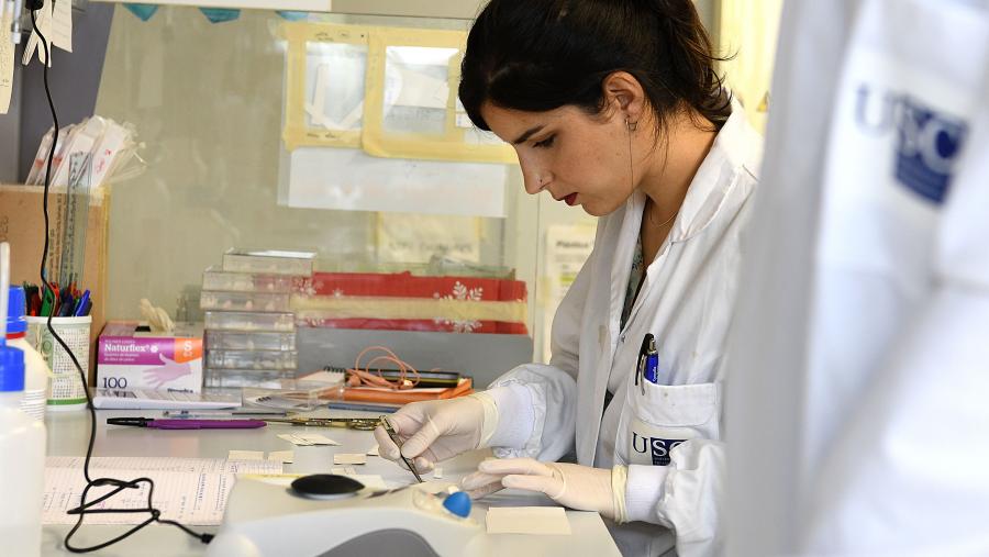 A USC destaca pola calidade da súa investigación. Imaxe de arquivo. FOTO: Santi Alvite A USC destaca pola calidade da súa investigación. FOTO: Santi Alvite