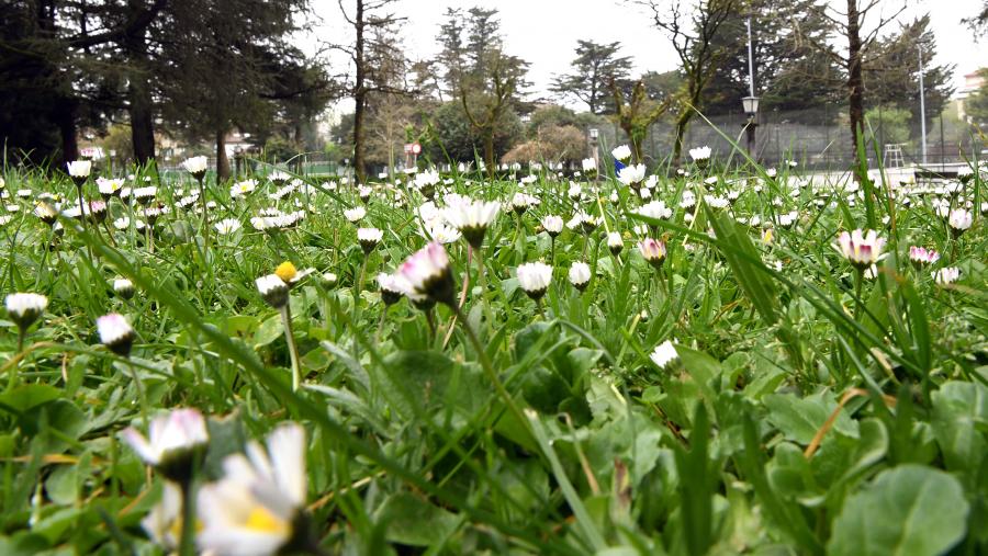 Para atopar un mes de maio en Santiago con máis de catro días por enriba dos 30 graos, hai que remontarse ao ano 1991. FOTO: Santi Alvite Para atopar un mes de maio en Santiago con máis de catro días por enriba dos 30 graos, hai que remontarse ao ano 1991. FOTO: Santi Alvite