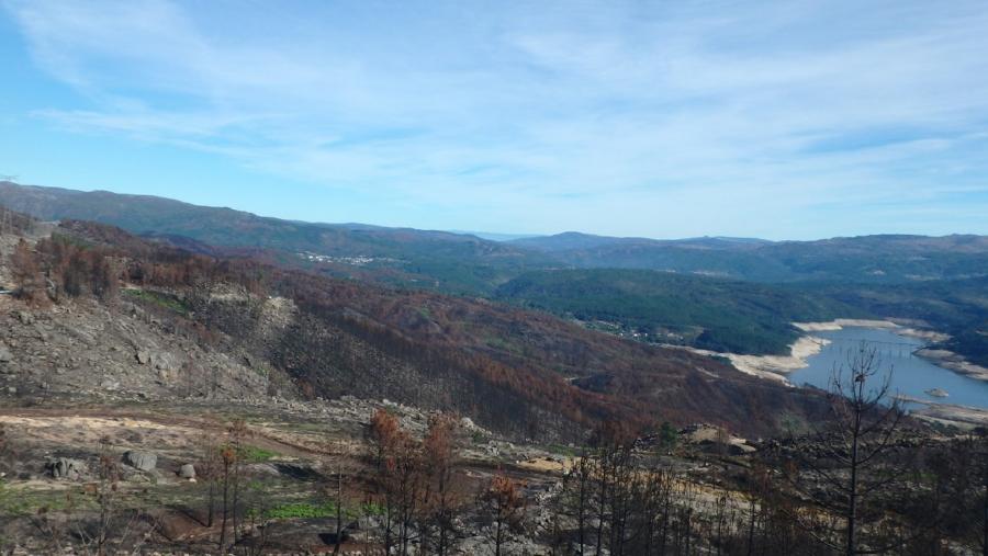 Solo degradado da serra do Xurés Solo degradado da serra do Xurés