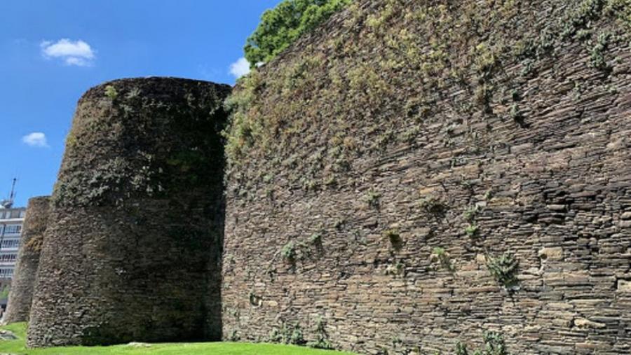 Vexetación na muralla romana de Lugo Vexetación na muralla romana de Lugo