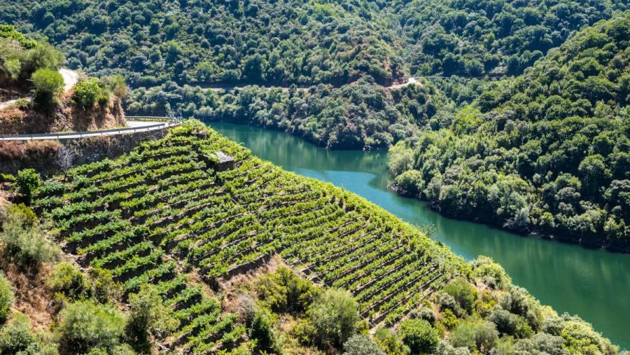 Vista aérea dunha paisaxe da Ribeira Sacra Vista aérea dunha paisaxe da Ribeira Sacra