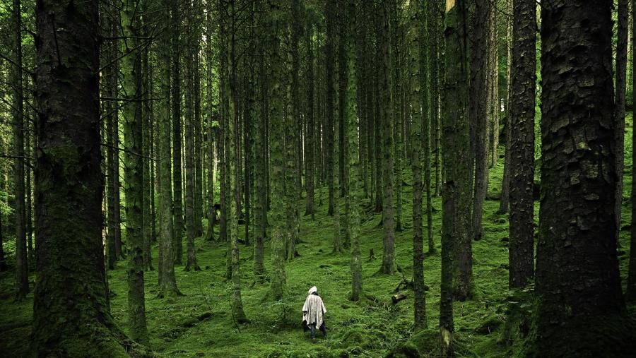 As solucións baseadas na natureza poden crear escenarios gañadores para economías, ecosistemas e persoas. FOTO: ‘Nature Sustainability’ As solucións baseadas na natureza poden crear escenarios gañadores para economías, ecosistemas e persoas. FOTO: ‘Nature Sustainability’