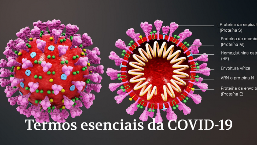 Imaxe da nova pubicación do SNL da USC Imaxe da nova pubicación do SNL da USC