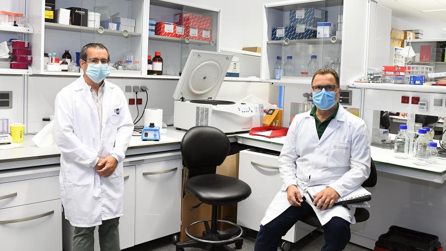A investigación está asinada polos profesores Antonio Salas (esquerda) e Federico Martinón (dereita). FOTO: Santi Alvite