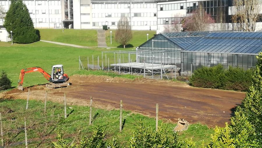 Terreos do Campus de Lugo habilitados para hortos ecolóxicos Terreos do Campus de Lugo habilitados para hortos ecolóxicos