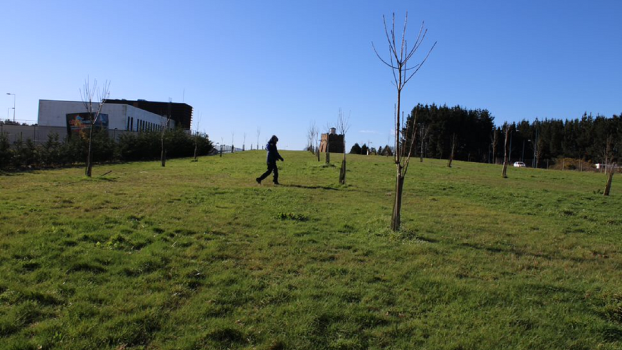 Castiñeiros plantados en As Gándaras ao abeiro do proxecto Life Lugo+Biodinámico Castiñeiros plantados en As Gándaras ao abeiro do proxecto Life Lugo+Biodinámico