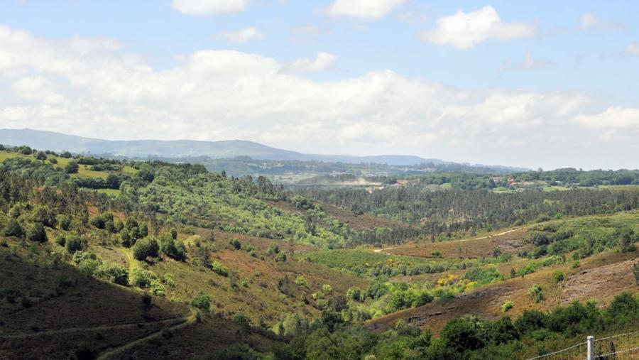 Paisaxe forestal de Galicia. Foto: Santi Alvite Paisaxe forestal de Galicia. Foto: Santi Alvite