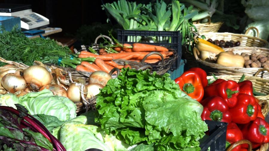 Verduras e hortalizas propias dunha dieta saudable. Foto: Santi Alvite Verduras e hortalizas propias dunha dieta saudable. Foto: Santi Alvite