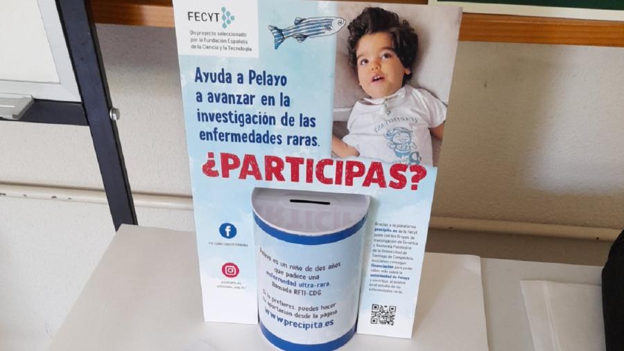 Huchas del proyecto de I+D+i inspirado en Pelayo repartidas en establecimientos de Lugo Huchas del proyecto de I+D+i inspirado en Pelayo repartidas en establecimientos de Lugo