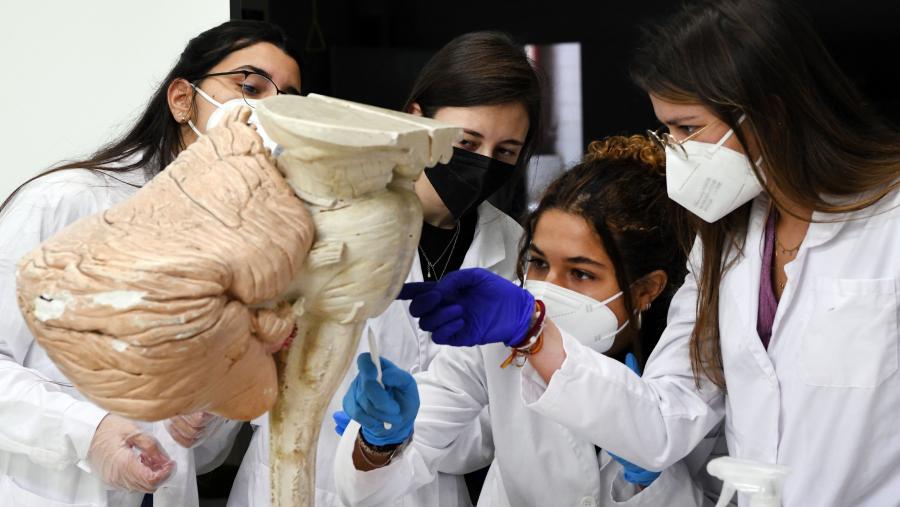 En total, o 62% das persoas recoñecidas con estes galardóns son mulleres e o 38% homes. FOTO: Santi Alvite Clases prácticas en Medicina