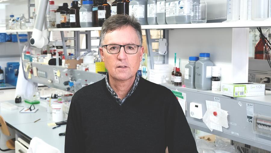 O grupo MetBioCat dirixido polo profesor Mascareñas é xa un referente polos seus desenvolvementos na área da química biolóxica O grupo MetBioCat dirixido polo profesor Mascareñas é xa un referente polos seus desenvolvementos na área da química biolóxica
