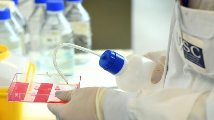 O Acelerador de Transferencia está aberto aos grupos de investigación de todas as áreas de coñecemento que teñan identificado algún resultado de investigación con potencial de transferencia. FOTO: Santi Alvite O Acelerador de Transferencia está aberto aos grupos de investigación de todas as áreas de coñecemento que teñan identificado algún resultado de investigación con potencial de transferencia. FOTO: Santi Alvite