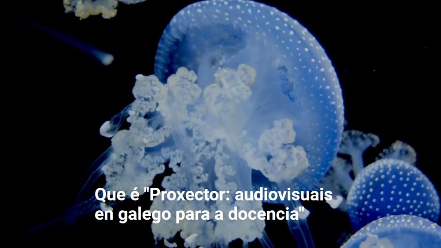 Proxector iniciara a súa andaina en 2015 pero entra agora nunha nova etapa con importantes novidades Proxector iniciara a súa andaina en 2015 pero entra agora nunha nova etapa con importantes novidades