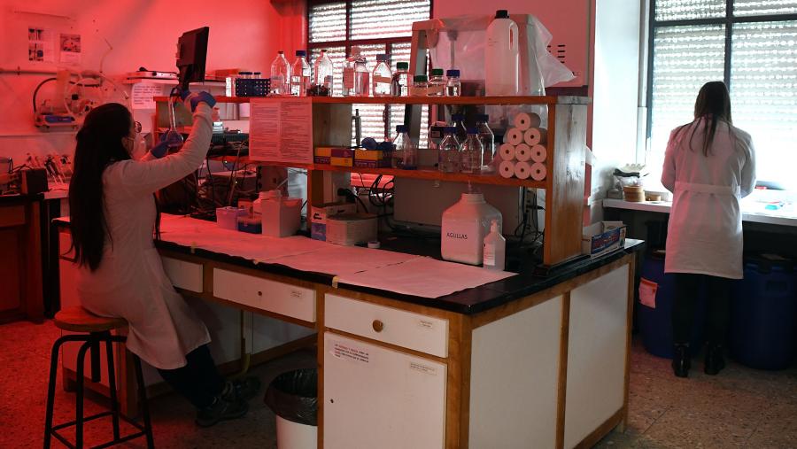 BioIncubaTech, incubadora de Alta Tecnoloxía para o fomento da innovación e transferencia de biotecnoloxía no ámbito da saúde e as tecnoloxías alimentarias, é un proxecto liderado pola área de Valorización, Transferencia e Emprendemento ( AVTE) da USC. FOTO: Santi Alvite BioIncubaTech, incubadora de Alta Tecnoloxía para o fomento da innovación e transferencia de biotecnoloxía no ámbito da saúde e as tecnoloxías alimentarias, é un proxecto liderado pola área de Valorización, Transferencia e Emprendemento ( AVTE) da USC. FOTO: Santi Alvite
