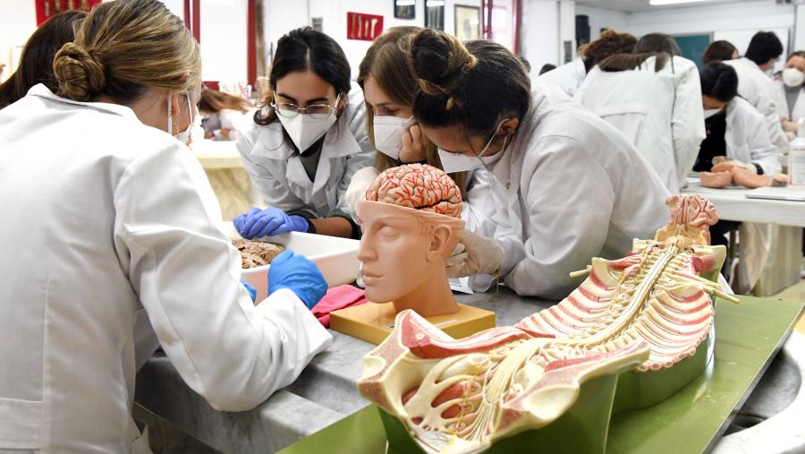 O evento diríxese a estudantes de Medicina e Enfermaría. FOTO: Santi Alvite O evento diríxese a estudantes de Medicina e Enfermaría. FOTO: Santi Alvite