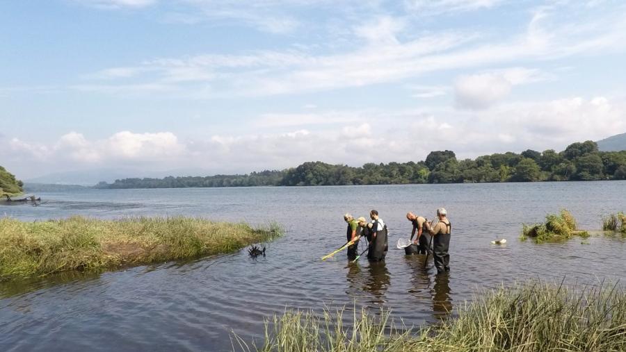 O proxecto Migra_Miño-Minho pretende mellorar as condicións do hábitat fluvial O proxecto Migra_Miño-Minho pretende mellorar as condicións do hábitat fluvial