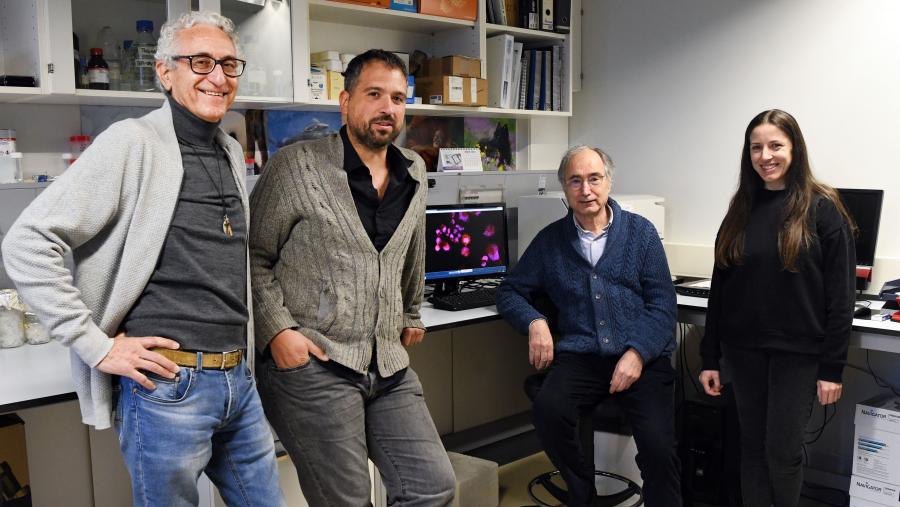 De esquerda a dereita, Arturo López, David Buceta, Fernando Domínguez e Vanesa Porto. Foto: Santi Alvite