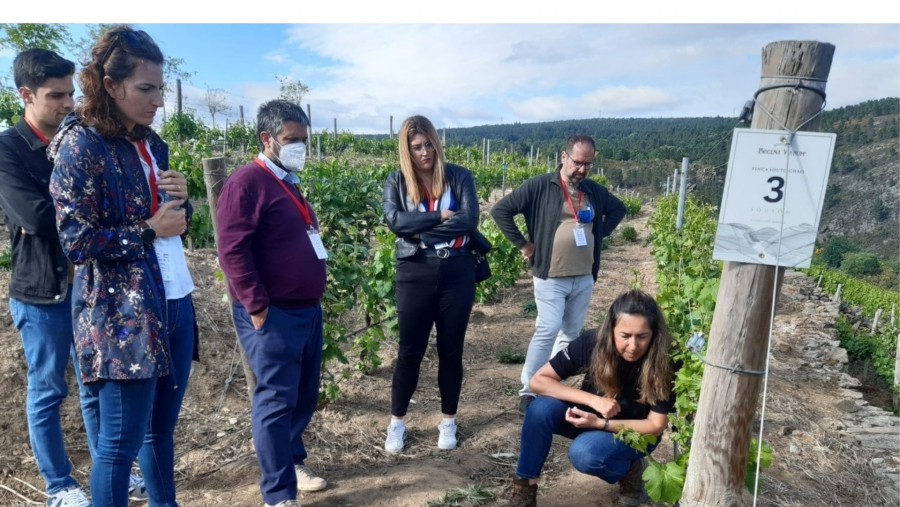 Investigadores da Sociedade Española de Ciencias Hortícolas, nun viñedo da Ribeira Sacra Investigadores da Sociedade Española de Ciencias Hortícolas, nun viñedo da Ribeira Sacra