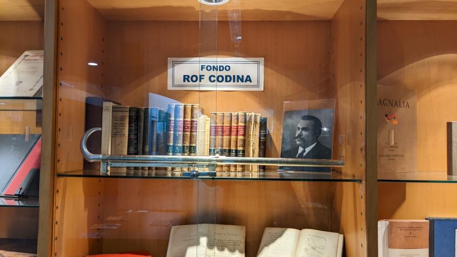 Fondos bibliográficos e réplica do bastón zoomórfico patentado por Rof Codina, expostos na biblioteca Intercentros de Lugo Fondos bibliográficos e réplica do bastón zoomórfico patentado por Rof Codina, expostos na biblioteca Intercentros de Lugo