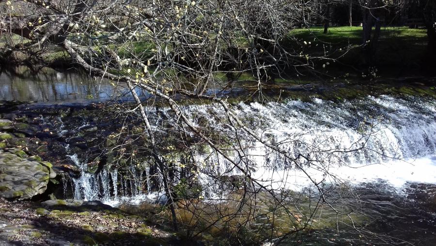 Río Tines Río Tines