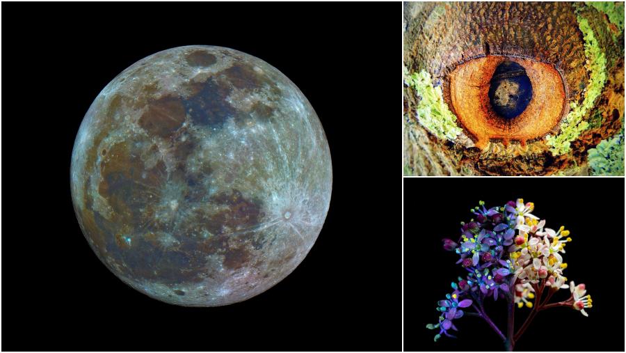 Fotografías gañadoras na edición anterior Fotografías gañadoras na edición anterior