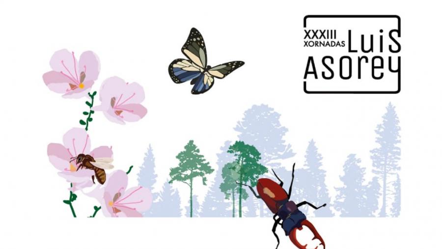 Cartaz das XXXIII Xorandas Luis Asorey Cartaz das XXXIII Xorandas Luis Asorey