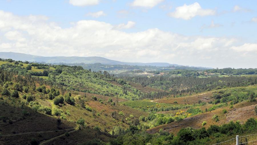 Galicia contará cun mapa forestal preciso que recollerá a superficie total forestal presente na comunidade e repartida por formacións específicas. FOTO: Santi Alvite Galicia contará cun mapa forestal preciso que recollerá a superficie total forestal presente na comunidade e repartida por formacións específicas. FOTO: Santi Alvite
