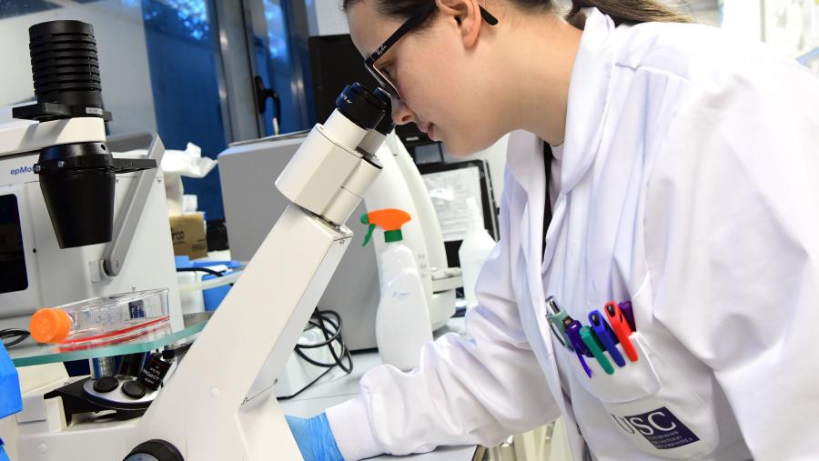 O Acelerador de Transferencia está aberto aos grupos de investigación de todas as áreas de coñecemento que teñan identificado algún resultado de investigación con potencial de transferencia. FOTO: Santi Alvite O Acelerador de Transferencia está aberto aos grupos de investigación de todas as áreas de coñecemento que teñan identificado algún resultado de investigación con potencial de transferencia. FOTO: Santi Alvite