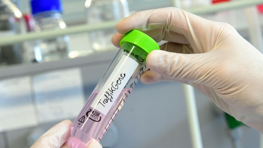 Trátase dunha tecnoloxía versátil que pode adaptarse a todo tipo de ácidos nucleicos. Detalle do laboratorio de Javier Montenegro no CiQUS. FOTO: Santi Alvite Trátase dunha tecnoloxía versátil que pode adaptarse a todo tipo de ácidos nucleicos. Detalle do laboratorio de Javier Montenegro no CiQUS. FOTO: Santi Alvite