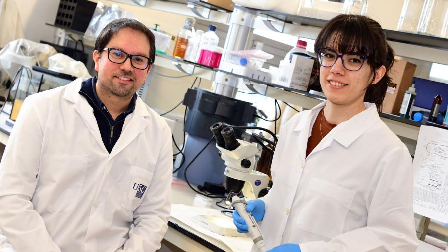 Antón Barreiro e Laura González Llera no seu laboratorio da USC. FOTO: Santi Alvite Antón Barreiro e Laura González Llera no seu laboratorio da USC. FOTO: Santi Alvite