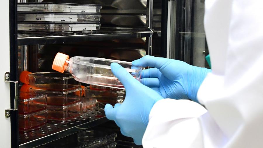 Imaxe de arquivo dun laboratorio da USC. FOTO: Santi Alvite Imaxe de arquivo dun laboratorio da USC. FOTO: Santi Alvite