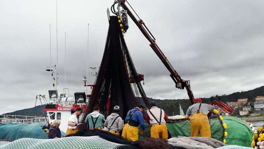 CIBBRINA, reunirá a membros de 14 países, pertencentes a diversos sectores implicados na cuestión, como a pesca, a comunidade científica, os gobernos e as ONGs. FOTO: Santi Alvite CIBBRINA, reunirá a membros de 14 países, pertencentes a diversos sectores implicados na cuestión, como a pesca, a comunidade científica, os gobernos e as ONGs. FOTO: Santi Alvite