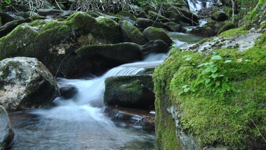 Val de Laciana. Reserva de la Biosfera