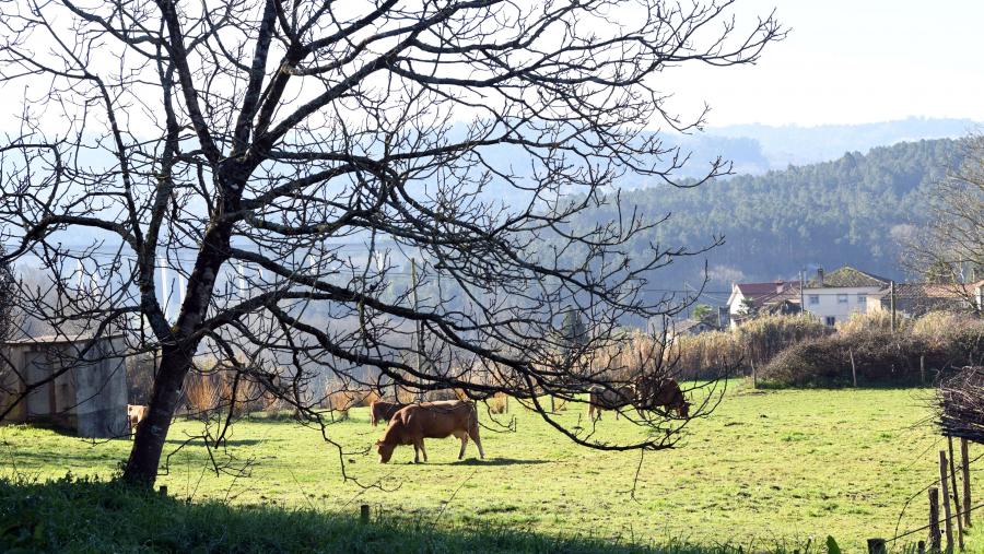 O obxectivo deste proxecto non é outro que o de desenvolver un portfolio ou catálogo de boas prácticas, a escala de agroecosistema, cadea de valor e políticas. FOTO: Santi Alvite O obxectivo deste proxecto non é outro que o de desenvolver un portfolio ou catálogo de boas prácticas, a escala de agroecosistema, cadea de valor e políticas. FOTO: Santi Alvite
