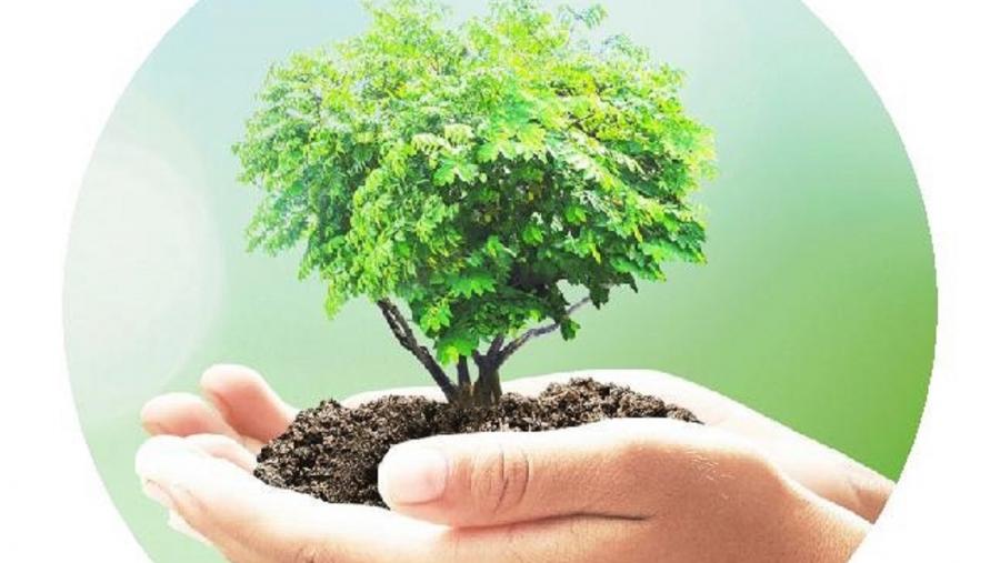 Imaxe simbólica do Día da Terra Imaxe simbólica do Día da Terra