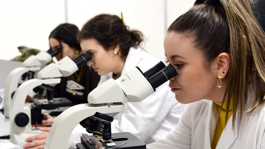 Imaxe de arquivo dunha clase práctica na USC. FOTO: Santi Alvite Imaxe de arquivo dunha clase práctica na USC. FOTO: Santi Alvite