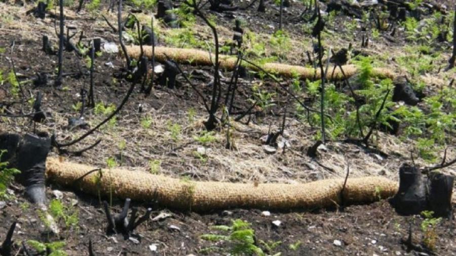 Terreos da Serra do Xurés asolados polas lapas Terreos da Serra do Xurés asolados polas lapas