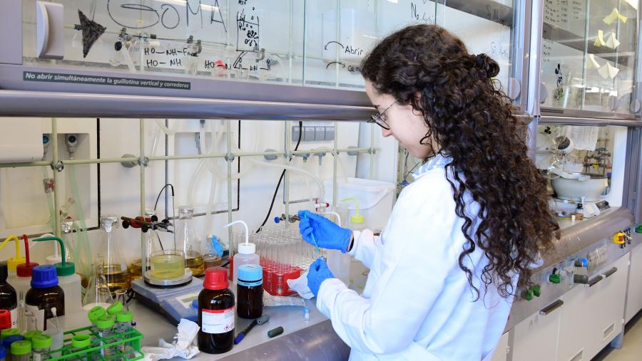 As bolsas terán unha duración dun mes. Imaxe de arquivo dun laboratorio da USC. FOTO: Santi Alvite As bolsas terán unha duración dun mes. Imaxe de arquivo dun laboratorio da USC. FOTO: Santi Alvite