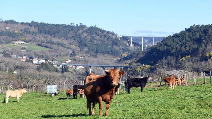 O obxectivo último do proxecto Sherpa e a revitalización e a sutentabilidade do medio rural. FOTO: Santi Alvite O obxectivo último do proxecto Sherpa e a revitalización e a sutentabilidade do medio rural. FOTO: Santi Alvite
